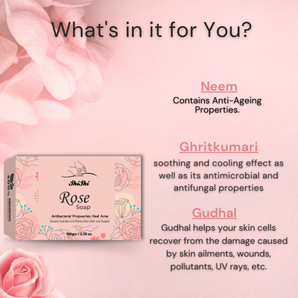 SHISHI Rose Shop - Image 4